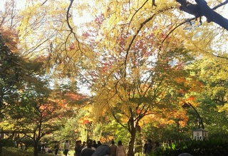 日比谷公園